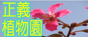正義植物園